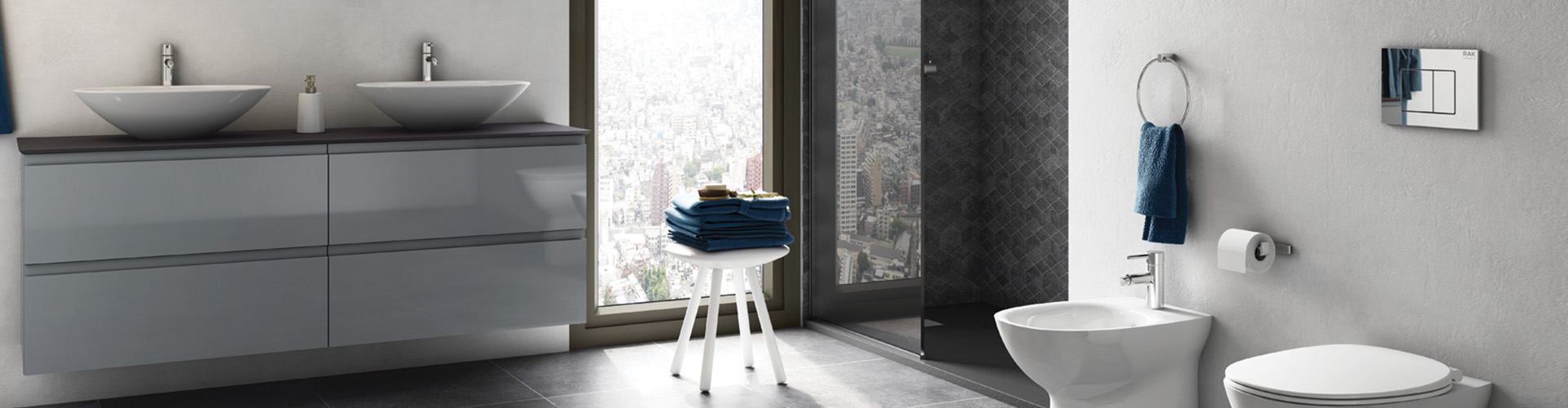 Flushing Systems Flushing Systems